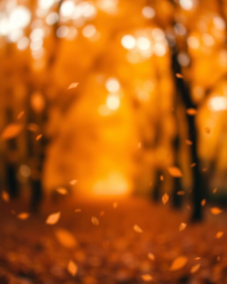 Abstracto fondo de otoño tonos cálidos efecto brillante hojas flotantes estilo bokeh