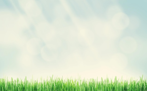 Abstracto fondo soleado de primavera con hierba y niebla Tonado