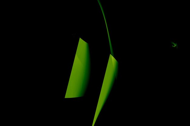 Abstracto papel curvo diseño de fondo HD color verde máximo oscuro