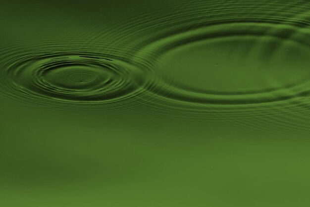 Abstracto Papel curvo HD Desenho de fundo Cor verde máxima