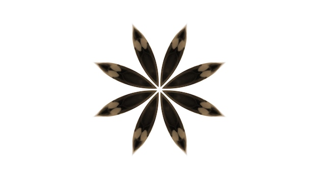 Abstracto Pincel de pintura Tinta explota Se extiende Concepto suave Patrón simétrico Ornamental Decorativo Calidoscopio Movimiento Círculo geométrico y formas de estrellas