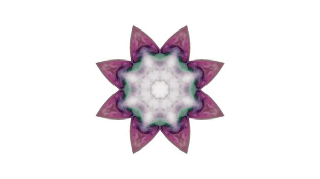 Abstracto Pincel de pintura Tinta explota Se extiende Concepto suave Patrón simétrico Ornamental Decorativo Calidoscopio Movimiento Círculo geométrico y formas de estrellas