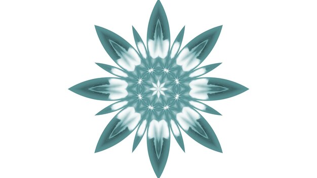 Abstracto Pincel de pintura Tinta explota Se extiende Concepto suave Patrón simétrico Ornamental Decorativo Calidoscopio Movimiento Círculo geométrico y formas de estrellas
