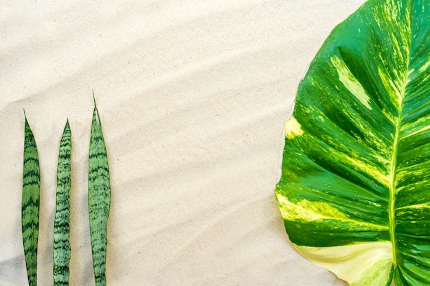 Abstrakt gefleckter Betel am Strand