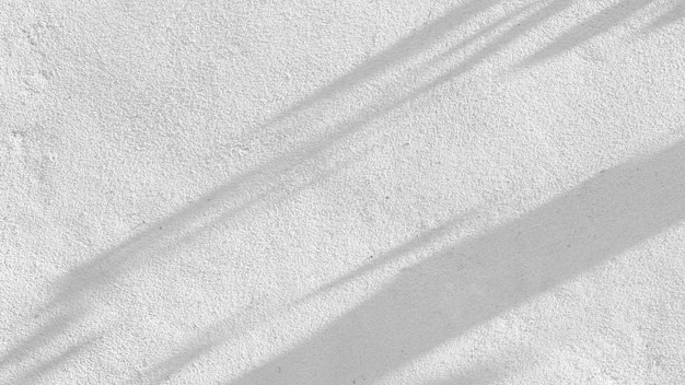 Abstrakte Hintergrundbeschaffenheit des Schwarzweiss von Schatten treiben auf einer Betonmauer Blätter