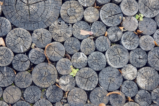 Abstrakte hölzerne Beschaffenheit in den dunklen Farben des Herbstes