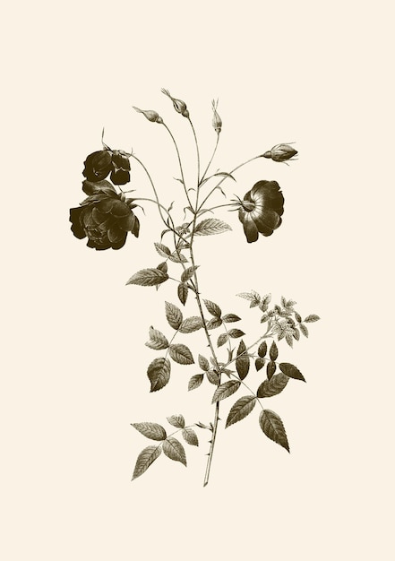 Abstrakte Kunstillustration aus der Mitte des Jahrhunderts