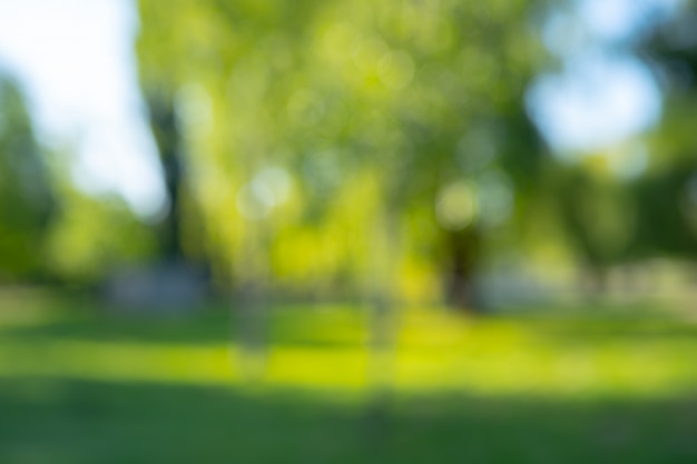 Abstrakte Unschärfe-Stadtpark-Bokeh für einen Hintergrund