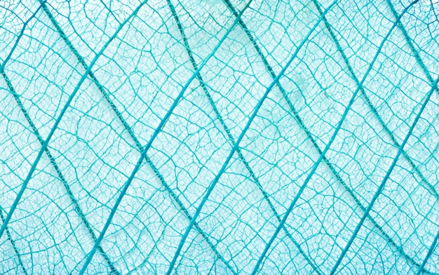 abstrakter blauer grüner Blatttexturhintergrund