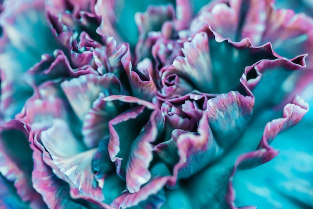 Abstrakter Blumenhintergrund blaue Nelkenblumenmakroblumenhintergrund für Feiertagsmarkendesign