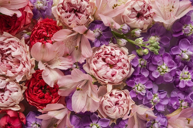 Abstrakter floraler ästhetischer Hintergrund Bunte rosa und rote Rosenblumen Hintergrund Schöne Blumen und Blütenblätter Künstlerische Botanik-Vorlage