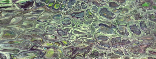 Abstrakter flüssiger oder flüssiger Kunsthintergrund in hellgrünen und dunkelvioletten Farben Acrylmalerei mit Olivenverlauf
