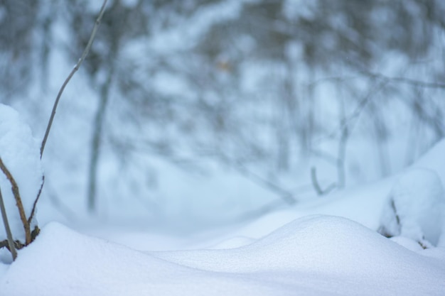 Abstrakter heller schneebedeckter Hintergrund mit Waldhintergrund Winterlandschaft im verschneiten Park