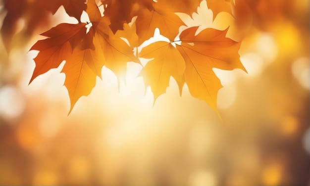 Abstrakter Herbstlaub-Bokeh-Hintergrund