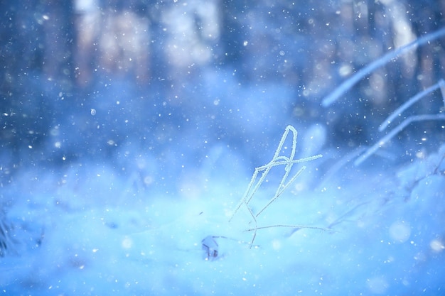 abstrakter Hintergrund Landschaft Winterwald / frostbedeckte Äste, Schneewetter Weihnachtshintergrund