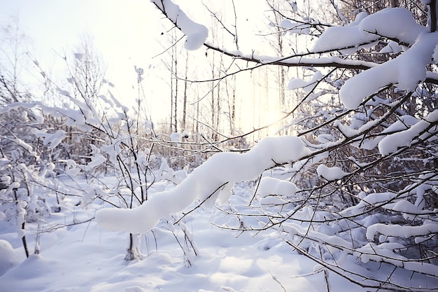 abstrakter Hintergrund Landschaft Winterwald / frostbedeckte Äste, Schneewetter Weihnachtshintergrund