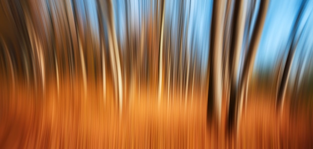 Abstrakter natürlicher Hintergrund. Bewegungsunschärfe von Bäumen in einem Herbstwald