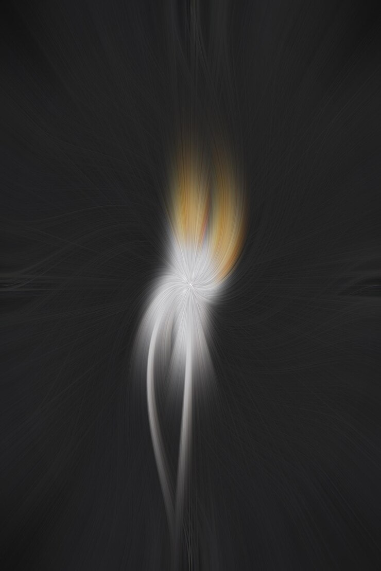 Foto abstrakter schwarzweiss-blumenhintergrund