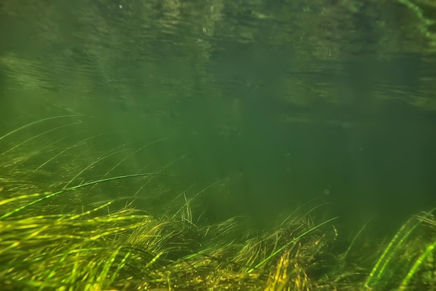 abstrakter Unterwasserhintergrund im See, sauberes Süßwasser