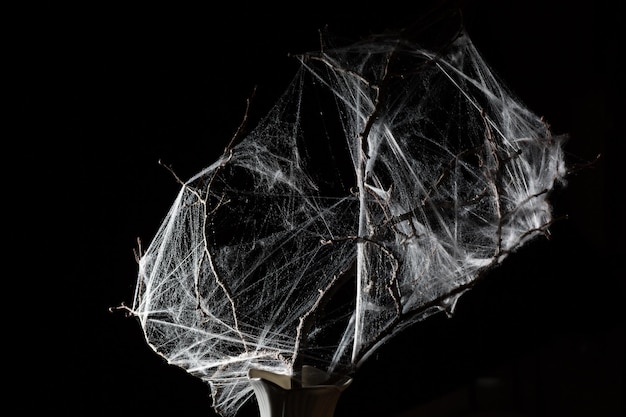 Abstraktes Spinnennetz auf Schwarzem