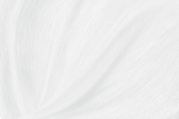 Abstrato branco e cinza degradê cor curva fundo