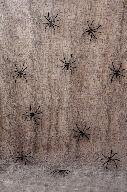 Foto abstrato com aranhas para o feriado de halloween