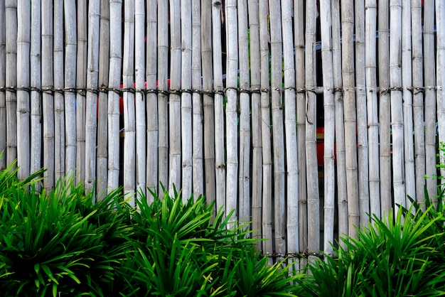 Abstrato de madeira de bambu