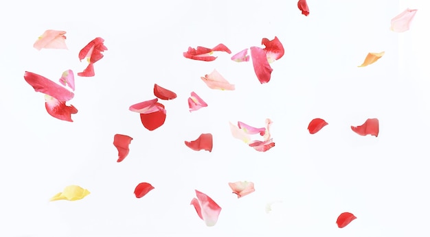 Foto abstrato de pétalas de rosafoto com lugar para texto
