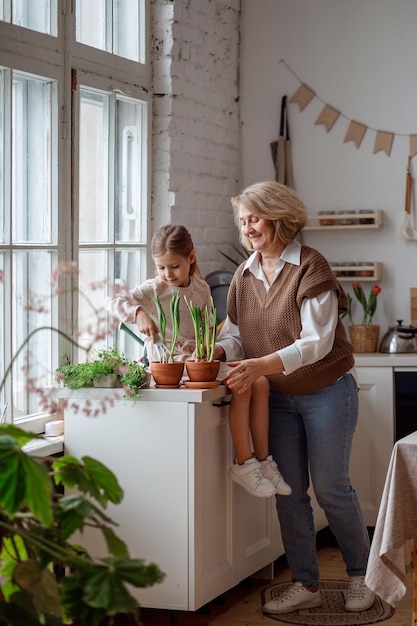 Una abuela anciana y una nieta pequeña cuidan y plantan plantas en macetas