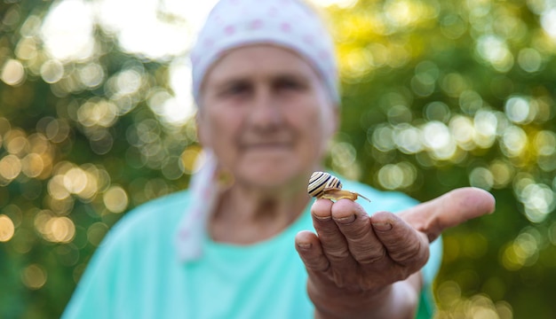 La abuela está estudiando un caracol en el parque Enfoque selectivo