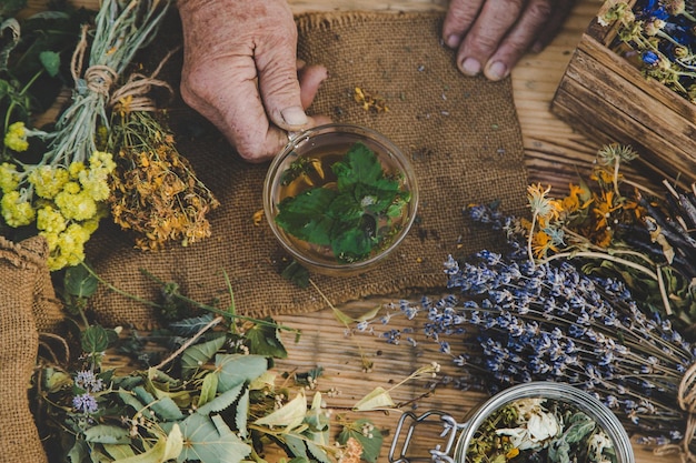 Foto la abuela hace té con hierbas medicinales enfoque selectivo
