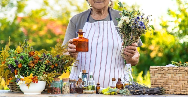 La abuela hace tinturas de hierbas medicinales Enfoque selectivo