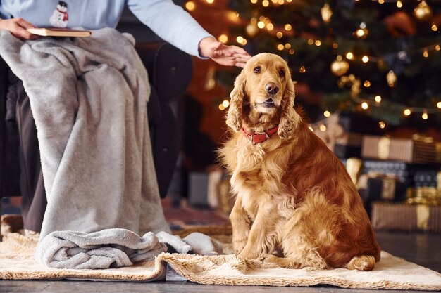 Abuela con libro en mano en interiores con perro en habitación decorada de Navidad.