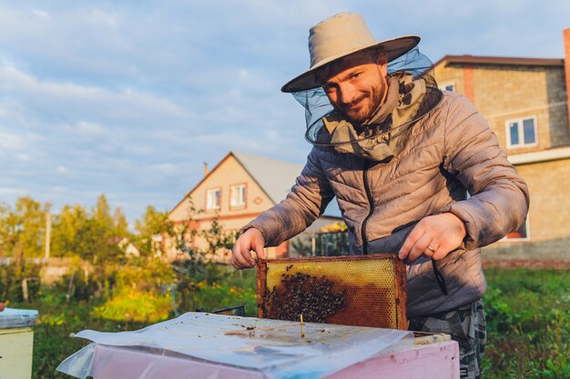 El abuelo experimentado del apicultor enseña a su nieto cuidando abejas. Apicultura. El concepto de transferencia de experiencia.