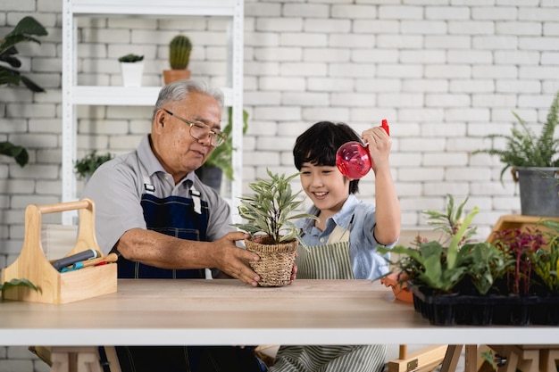 Abuelo jardinería y enseñanza nieto cuidar planta interior