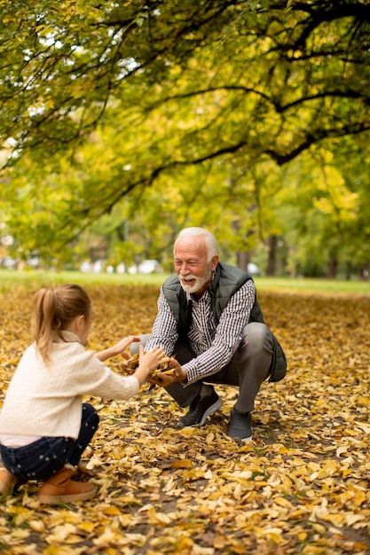 Abuelo pasando tiempo con su nieta en el parque el día de otoño