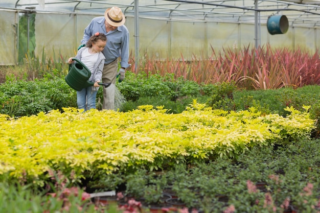 Abuelo y plantas de riego infantil