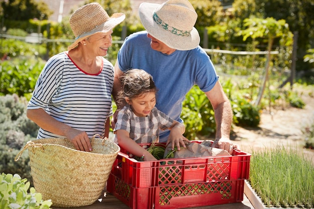 Abuelos con nieta trabajando juntos en la habilitación