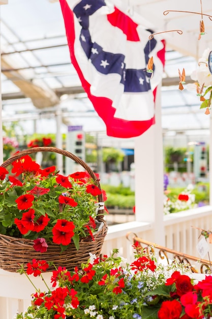 Abundancia de coloridas flores en el centro de jardinería a principios del verano.