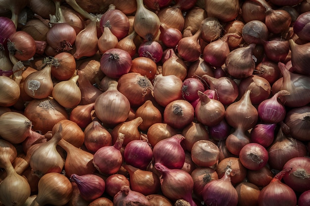 Abundância de cebolas exibidas num mercado vibrante