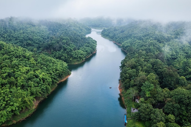 Abundancia de selva tropical con niebla y río que fluye por la mañana en el parque nacional