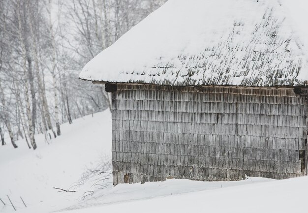 Una abundante nevada en los Cárpatos rumanos en el pueblo de Sirnea,