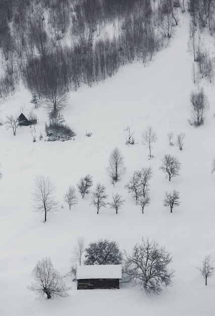 Una abundante nevada en los Cárpatos rumanos en el pueblo de Sirnea,