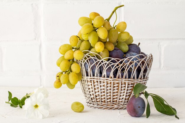 Acabei de colher ameixas maduras e um cacho de uvas brancas maduras em uma cesta de vime no fundo branco. Apenas frutas colhidas.