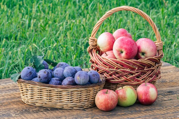 Acabei de escolher ameixas maduras e maçãs vermelhas em cestas de vime em velhas tábuas de madeira com grama do jardim no fundo. Frutas acabadas de colher