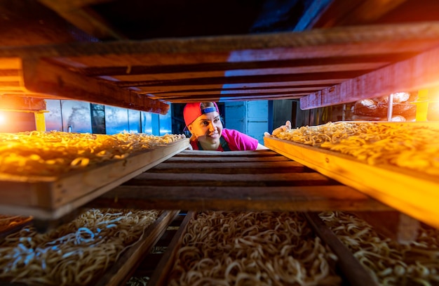 Acabei de produzir macarrão em uma fábrica de macarrão Foco seletivo