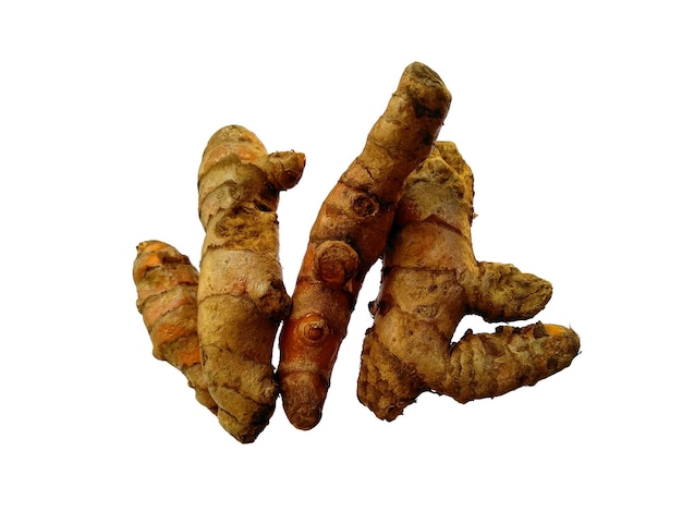 Açafrão ou Curcuma Longa no fundo branco