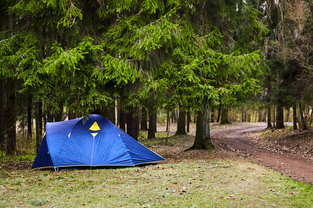 Acampamento. Barraca azul do turista na floresta