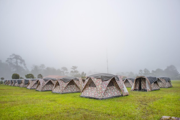 Acampamento e barraca na natureza e manhã com neblina.