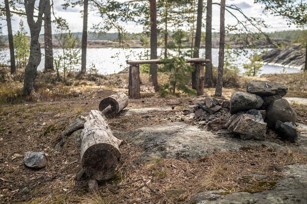 Acampamento na costa rochosa do lago banco de mesa de madeira velha de toras e lugar para uma fogueira entre pinheiros